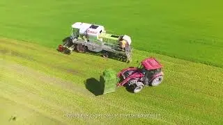 JC Organic Barley  New Zealand Farm
