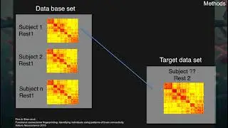 OHBM 2018 | Symposium | Tamara  Vanderwal | Individual differences in functional connectivity duri…