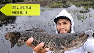 Rio caveiras 💀  lugar das bitelas # pescaria de tra&iacute;ra na vegeta&ccedil;&atilde;o dos alagados 