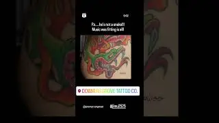 Most Colorful Snake Ever Seen! #snake #snakes #colorfulsnake #tattoo #slither #snakevideo #snakey