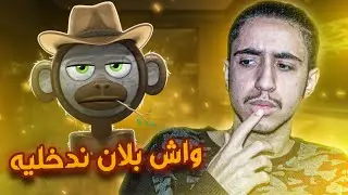 CryptoMonkeys | 10$ giveaway 🤑 شرح مفصل