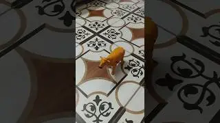 Cow toy l Walking cow #cow #cowvideos #trending #viral #shorts #toys #cow toys #love #animal