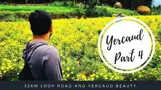 Yercaud 32km Loop Road | Servarayan Temple | Happy Nest Resort