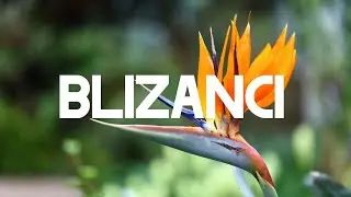 BLIZANCI ❤️ NE PRESKAČI OVO TAROT ČITANJE JER JE JAKO VAŽNO HOROSKOP LJUBAV 