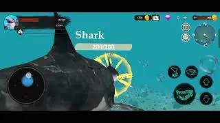 Dolphin 🐬 #dolphins #dolphinemulatorgamecube #englishbolnahogaaasan #subscribe