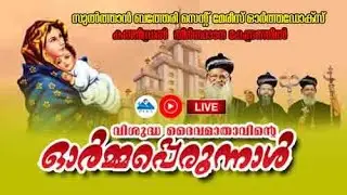 Bathery Orthodox Cathedral. Live Stream
