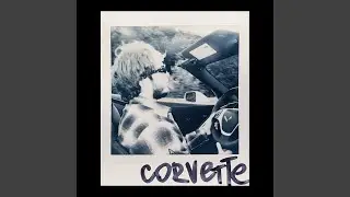 CORVETTE
