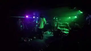 Fine Creatures - Panthers Live @ Sticky Mike's Frog Bar, Brighton 2016