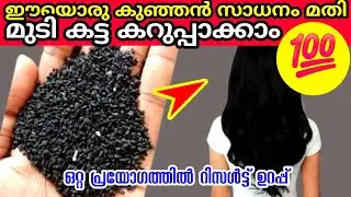വെളുത്ത മുടികൾ ഒന്നില്ലാതെ കട്ട കറുപ്പാക്കാൻ വീട്ടിൽ തന്നെ എളുപ്പ മാർഗം| Natural hair dye | Hair Dye