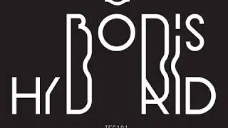 DJ Boris - Hybrid