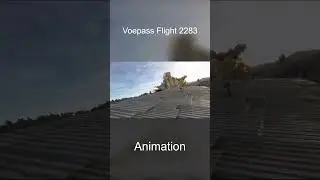 2024 Plane Crashes - Animation vs. Real Life #airdisasters #planecrash #aviation