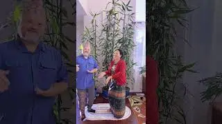 Playful cultural interaction: a joyful dance#culturaldance #couplegoals #joyfulmoments