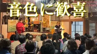寺の『桜の蕾』奇跡のデュエット！ 琴とギターが織りなす幸せメロディー