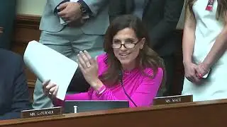 Rep Nancy Mace engages director Cheatle on LIVE-TV