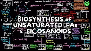 Unsaturated FA & Eicosanoids | Lipid Metabolism 04 | Biochemistry | PP Notes | Lehninger 6E Ch. 21.1
