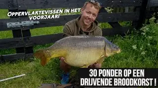 KARPERVISSEN AAN DE OPPERVLAKTE - 30 PONDER OP DE KORST
