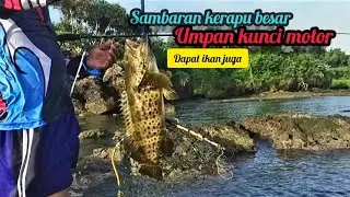 mancing kerapu pinggiran umpan minnow@SYAFII96