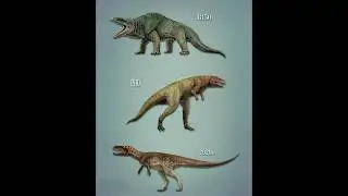 The first three dinosaurs to be discovered #dinosaur #information #edit #music #prehistoric #shorts