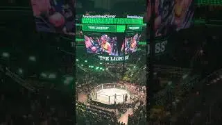 Amanda Nunes UFC 277 Entrance in Dallas, TX