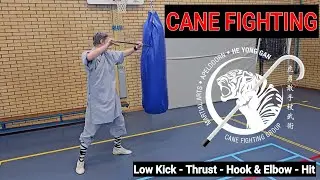 Cane Fighting: Low Kick - Thrust - Hook & Elbow - Hit - Martial Arts for Cane Fighters
