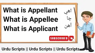 What is Appellant | Appellee | and Applicant || Meaning and Definition in Sindhi || By Urdu Scripts