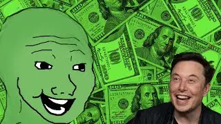 The Elon Musk Effect