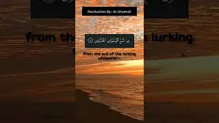 Soothing Quran Recitation by Al-Ghamdi #quranrecitation#tilawah#peace#heartwarming#soothing#relaxing