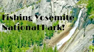 Trout Fishing and hiking Yosemite National Park (Tenkara Fly Fishing for the first time!)