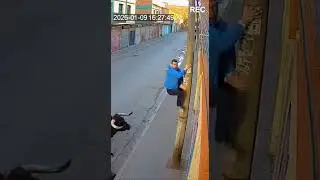 a man has to jump on a pole to get from a bull