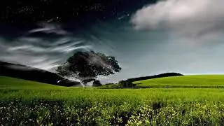 Gratitude, Genius, & God Force, Affirmations (432 Hz, 3-6-9, binaural beats) VERY POWERFUL