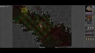 [BugWT] EK - Brimstone Bugs