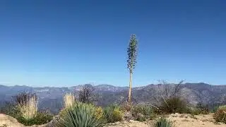 Can the views get any better?