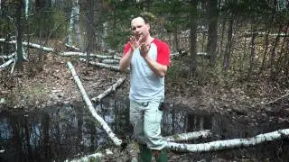 Cool Science - Mosquitoes & Black Flies in Northern Ontario