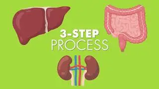 Core Restore Detoxification Program