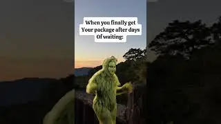 The excitement is real