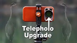 This iPhone Upgrade Actually Beats Digital Zoom