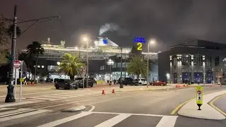 Cruise ship with more than 90 sick passengers docks in Port of Tampa