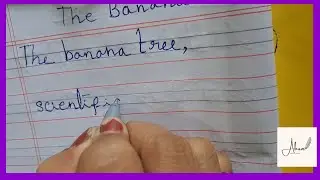 10 lines essay on The Banana Tree