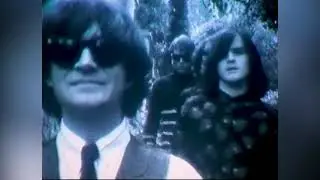 The Stems 'At First Sight' (Official Music Video)
