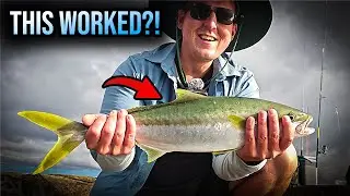 I Couldn't Believe I Caught Kingfish With THIS!!