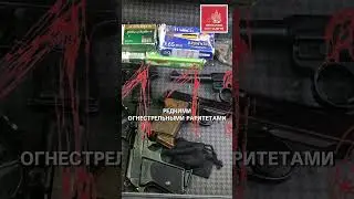 Чемодан с огнестрельными раритетами нашли в парке #weapons #chop #police #search