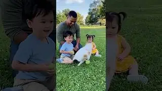 Sora 2 Masterpiece: 🌳 Family Bliss in the Park (Hyper-Realistic Joy & Blue-Eyed Dog!) vz Veo 3.1