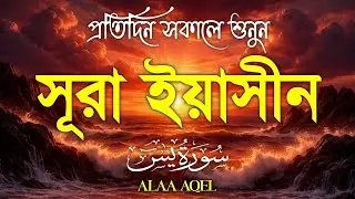 প্রতিদিন সকালে শুনুন – হৃদয় জুয়ানো কণ্ঠে সূরা ইয়াসিন | (سورة يس) Surah Yasin | Morning Tilawat