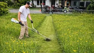 Bringing Life Back Overgrown Garden Revival Project  So Satisfying!