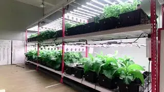 How Vertical Farm Works