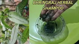 NO Time To Customize Your Shampoo Base - Try This Quick Easy Herbal Shampoo