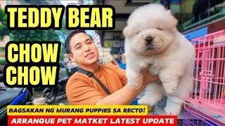 WOW! P4,500 XL BEAGLE! P6,500 AMERICAN BULLY! QUALITY CHOW CHOW SA ARRANQUE PET MARKET LATEST UPDATE