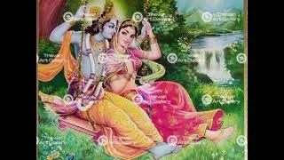#lyricsvideo Shyam Teri Bansi pukare Radhe Radhe #trending song Viral video 