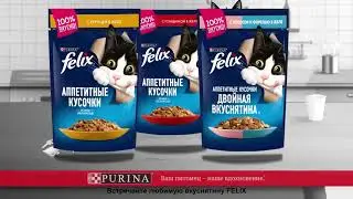 Felix®️ в новом дизайне!🙀