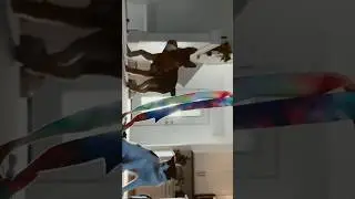 Ribbon Dancer #art #dancer #artist #kingkodak #cat #dog #kitten #puppy #germanshepherd #husky #cute